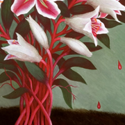 Paintings Lillies
